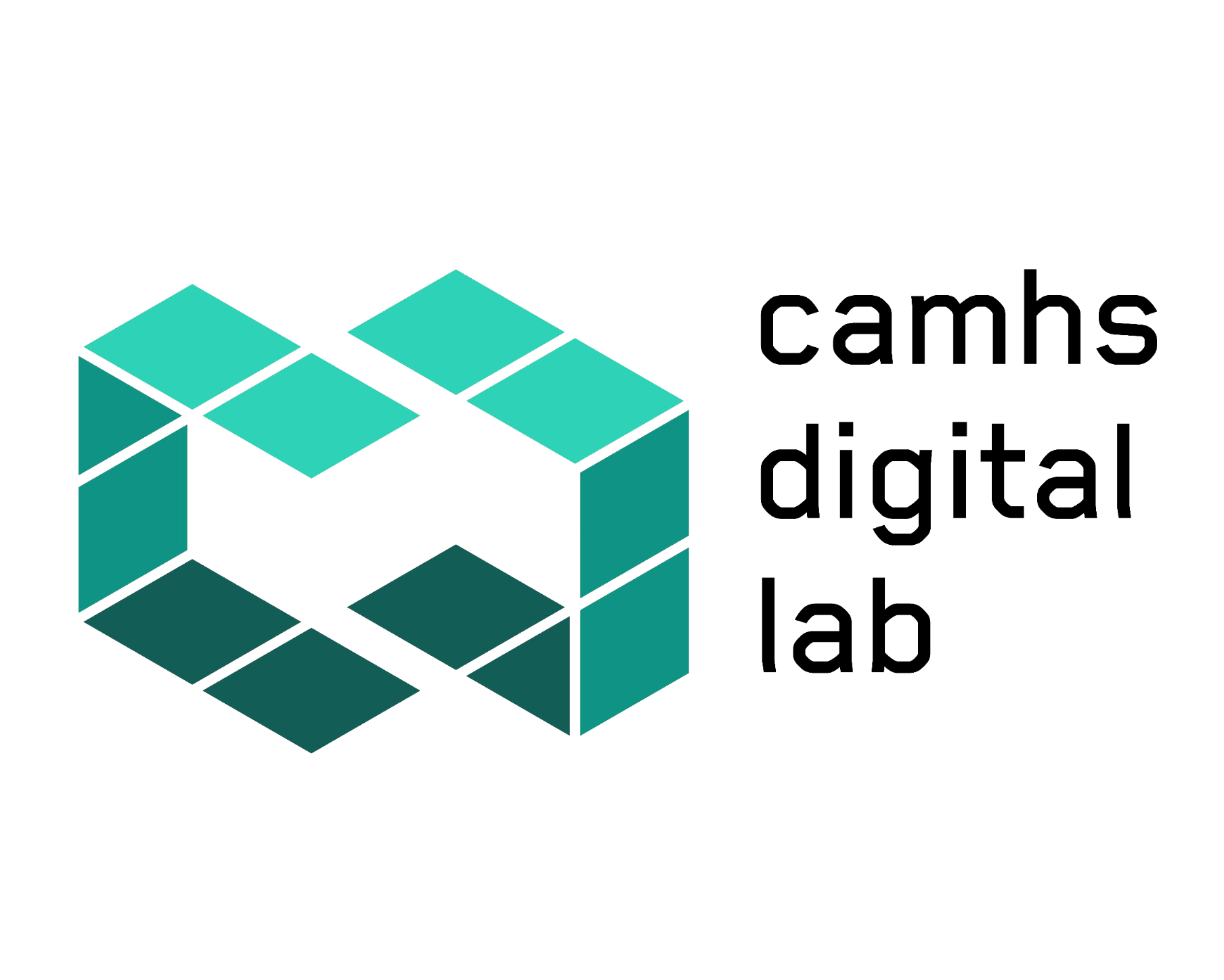 CAMHS Digital Lab
